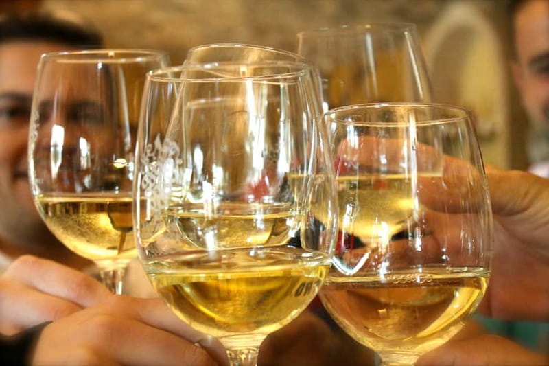 Alicante: Countryside Wine Tour with 4 Tastings - A Deep Dive into the Experience