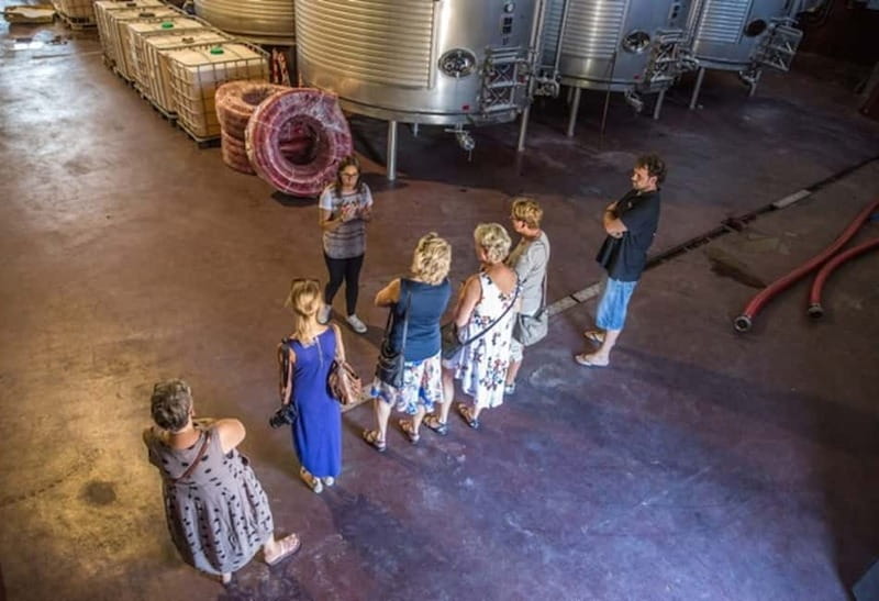 Alicante: Countryside Wine Tour with 4 Tastings - Who Would Love This Tour?