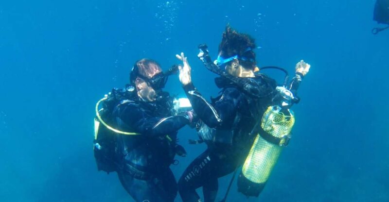 Alicante: Denia Beginners Scuba Diving Experience - Key Points