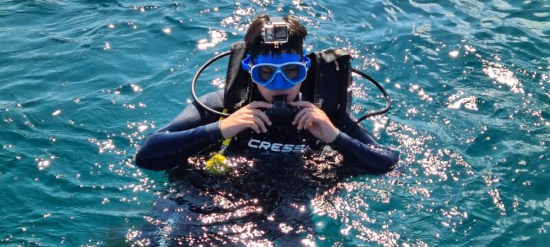 Alicante: Denia Beginners Scuba Diving Experience - Booking and Cancellation Details