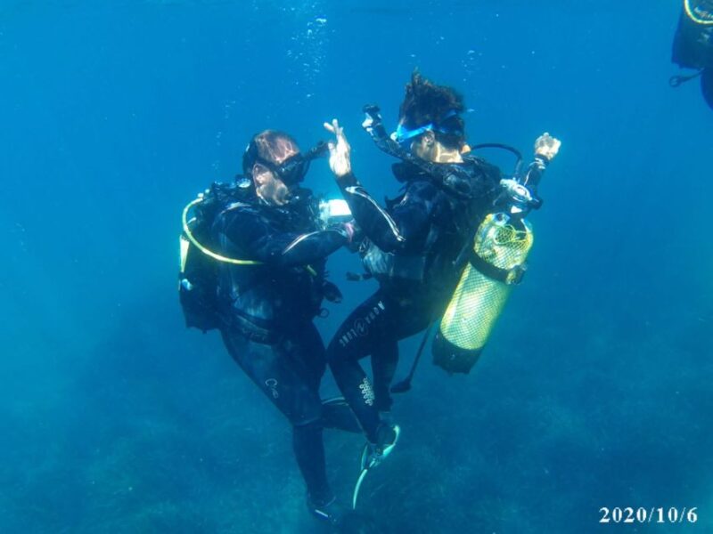 Alicante: Denia Beginners Scuba Diving Experience - Instruction and Guidance for Beginners