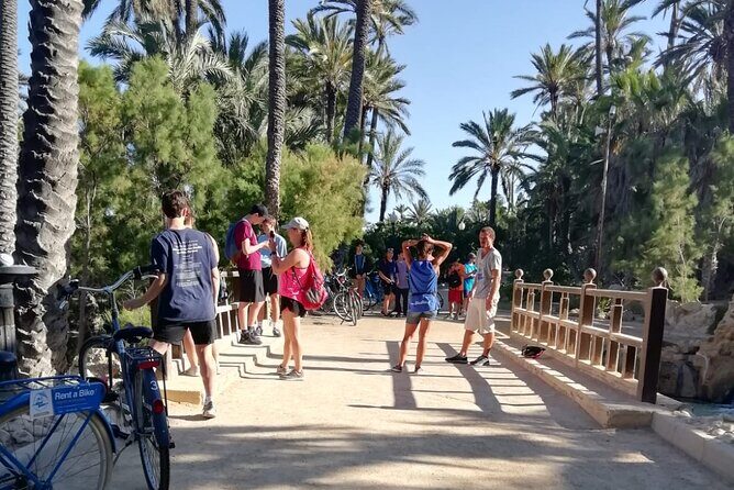 Alicante Highlights Bike Tour (min 2 people to book) - Who Will Love This Tour?