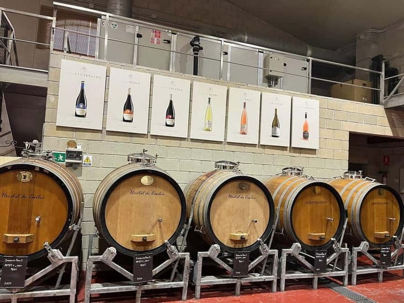Alicante: Old Winery Tour & Wine Tasting including transfer - Introduction: A Genuine Taste of Spain’s Winemaking Heritage