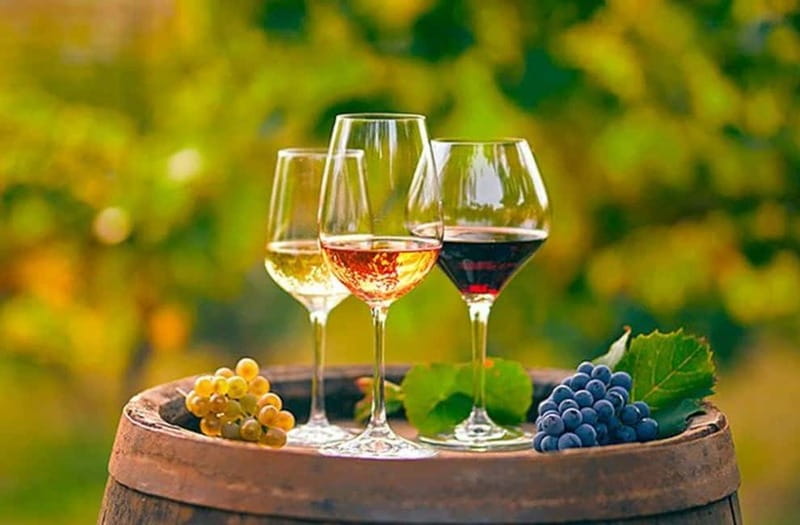 Alicante: Old Winery Tour & Wine Tasting including transfer - The Overall Experience: Balance Between Value, Authenticity, and Comfort