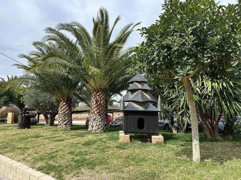 Alicante: Old Winery Tour & Wine Tasting including transfer - Who Will Love This Tour?