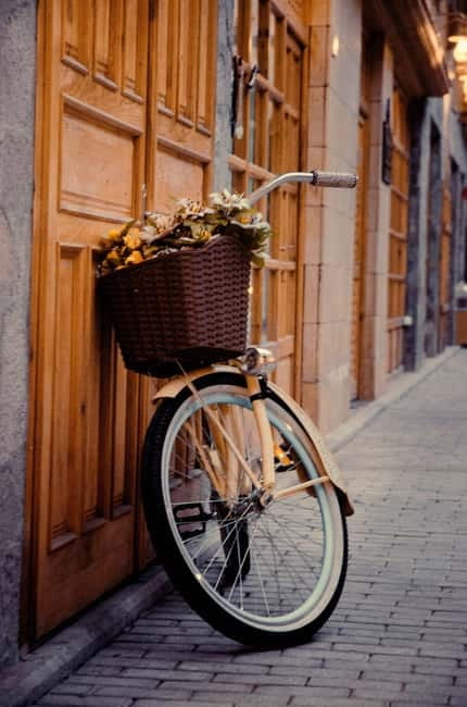Alicante: Parasailing and City Bike Rental (all day) - Who Should Consider This Tour?