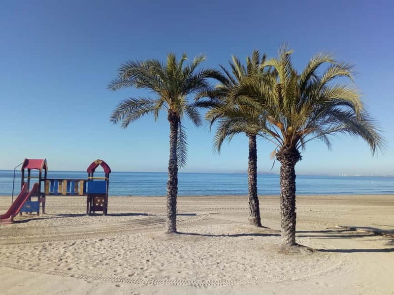 Alicante: Private Bicycle Tour of the Beach and History - Setting the Scene: From Beach to Orchard to Monastery