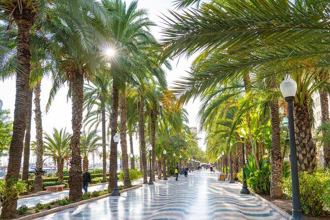Alicante Semi-Private Tour: City, Castle, Market & Tapas Walk - A Deep Dive into the Alicante Semi-Private Experience