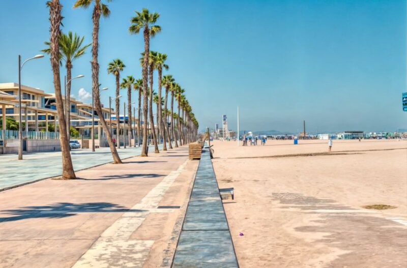 Alicante: Spot the Mediterranean Beaches & Coves by E-Bike - Experience Highlights