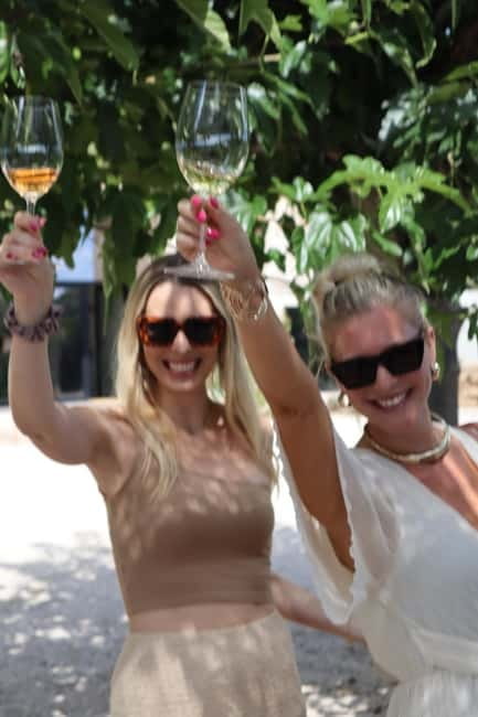 Alicante: Sustainable Wine & Tapas Experience at 3 Wineries - Exploring the Itinerary: What You Can Expect