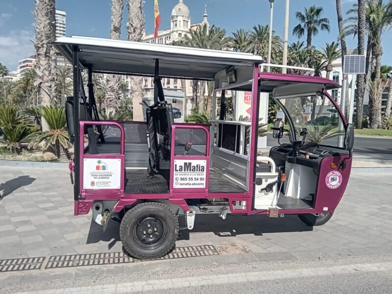 Alicante: Tuk Tuk Tour Electric 60 Minutes Electric - Key Points