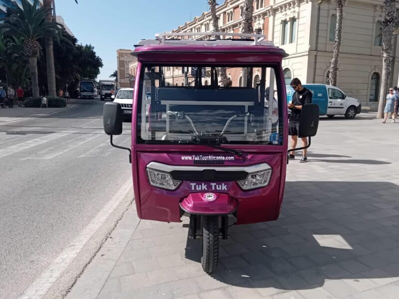 Alicante: Tuk Tuk Tour Electric 60 Minutes Electric - Tour Features
