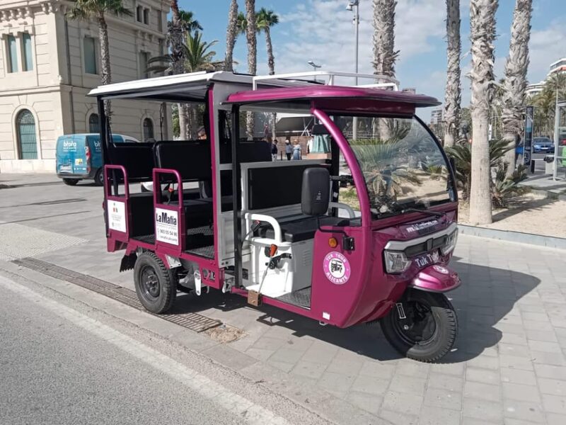 Alicante: Tuk Tuk Tour Electric 60 Minutes Electric - Restrictions and Requirements