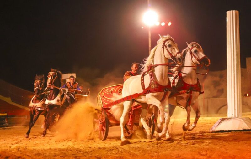 Alicante: Villajoyosa Grand Circus Maximus Entry Ticket - Transportation