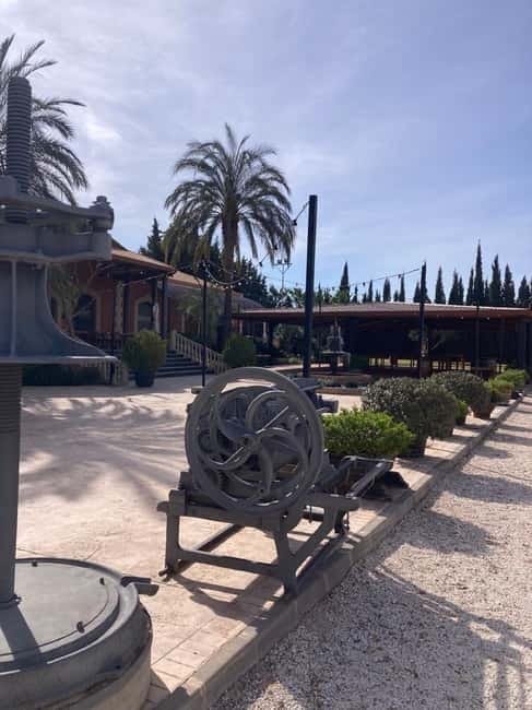 Alicante: Wine tasting tour with transfer - What to Expect During the Tour
