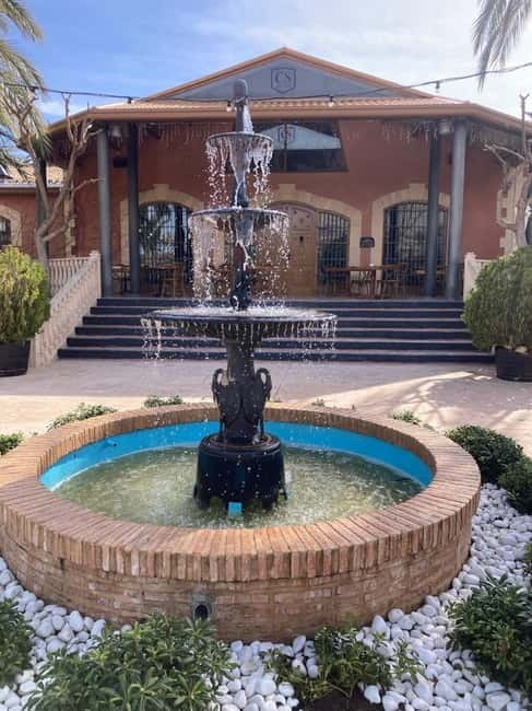 Alicante: Wine tasting tour with transfer - Practical Tips for Travelers