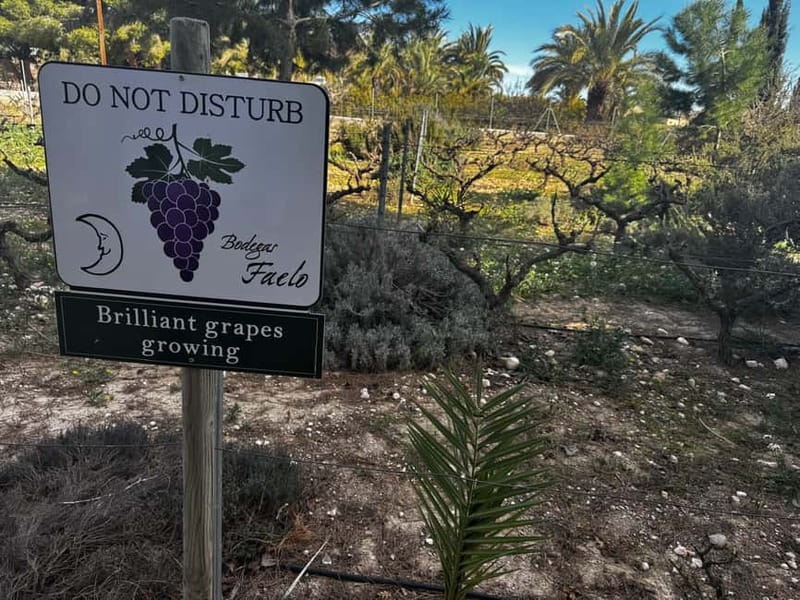Alicante; Wine Tour Wineries, Food, and Transportation Included - Key Points