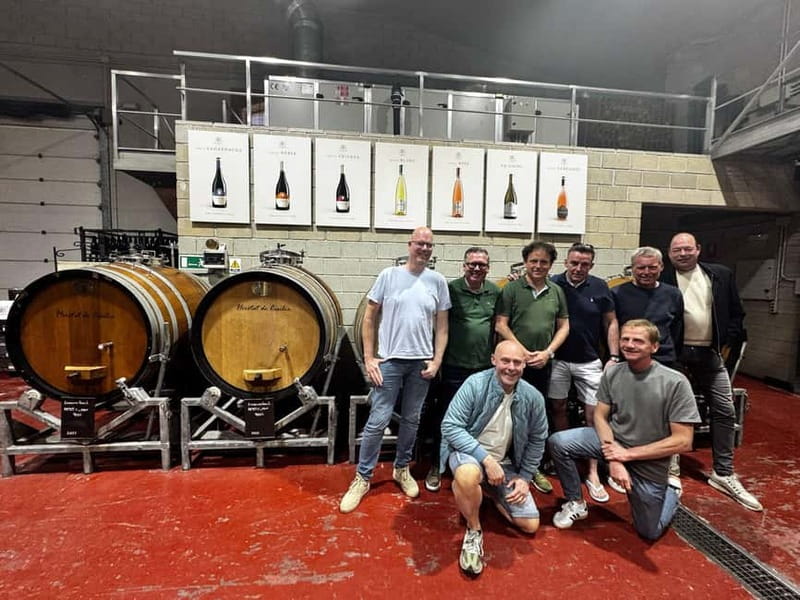 Alicante; Wine Tour Wineries, Food, and Transportation Included - Who Should Consider This Tour
