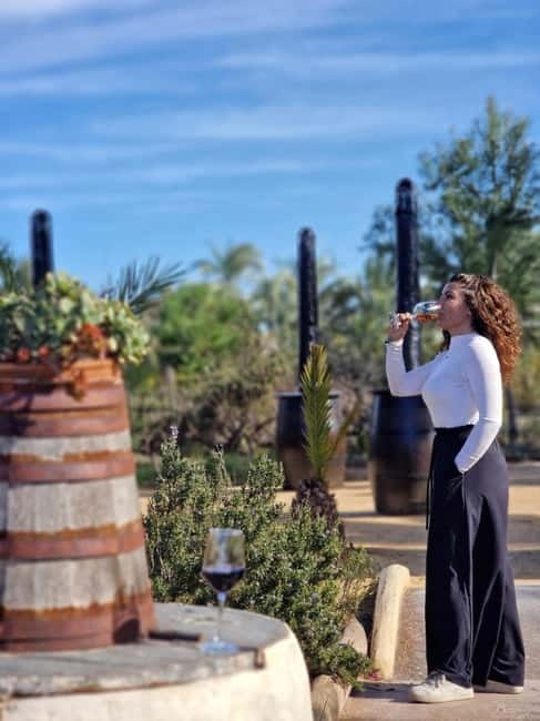 Alicante; Wine Tour Wineries, Food, and Transportation Included - The Sum Up