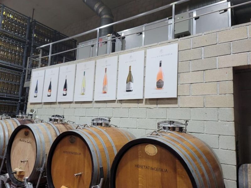 Alicante:Beatiful Castle of Mola+Tasting of Local Wine - Highlights