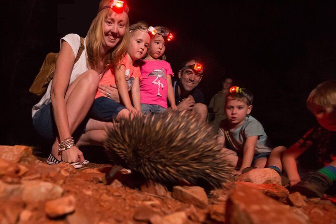 Alice Springs Desert Park Nocturnal Tour - What Travelers Are Saying