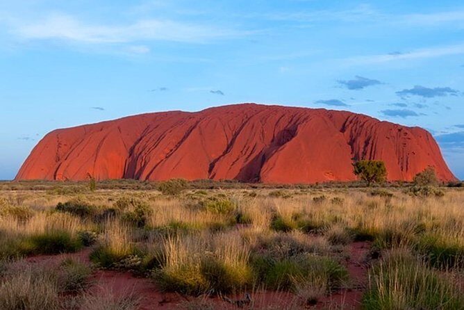 Alice Springs to Uluru (Ayers Rock) Coach Transfer - Customer Feedback and Authentic Experiences