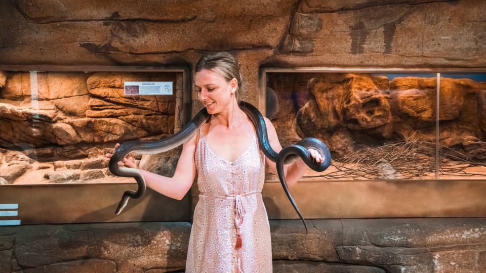 Alice Springs: Town Highlights and West MacDonnell Ranges - Panoramic Views From Anzac Hill