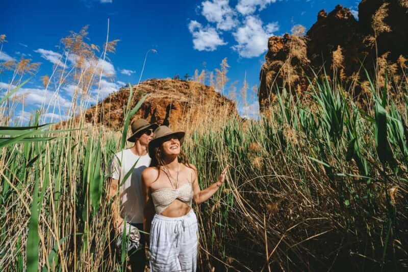 Alice Springs: West MacDonnell Ranges Day Tour with Lunch - Key Points