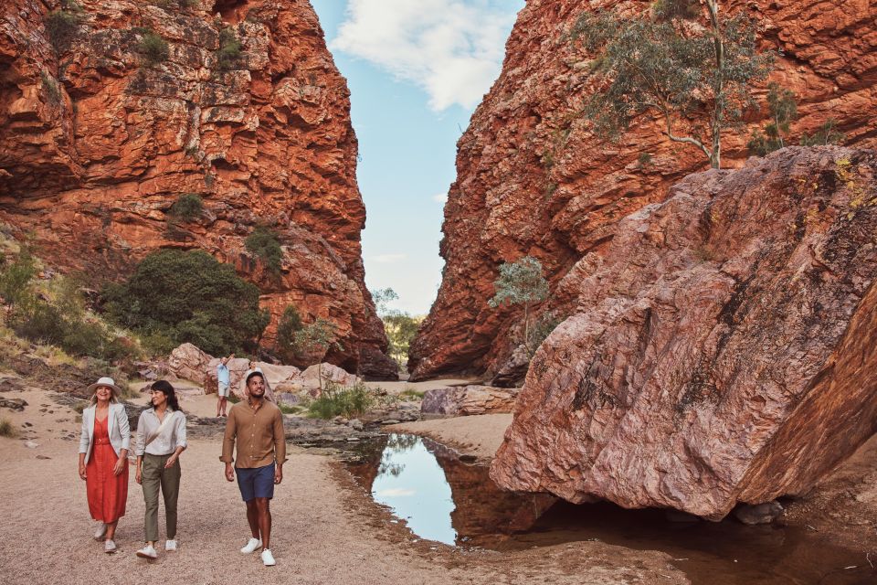 Alice Springs: West MacDonnell Ranges & Standley Chasm Tour - Customer Reviews