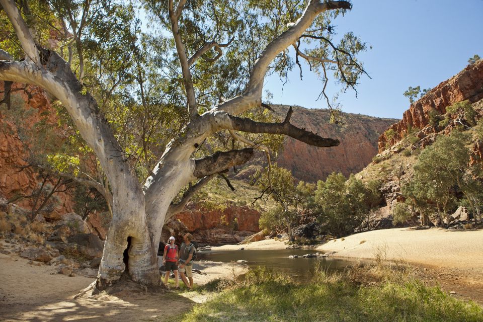 Alice Springs: West MacDonnell Ranges & Standley Chasm Tour - Frequently Asked Questions