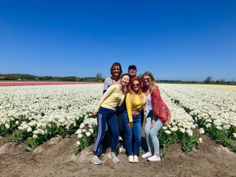 Alkmaar: Tulip and Spring Flower Fields Bike Tour - Whats Included in the Tour