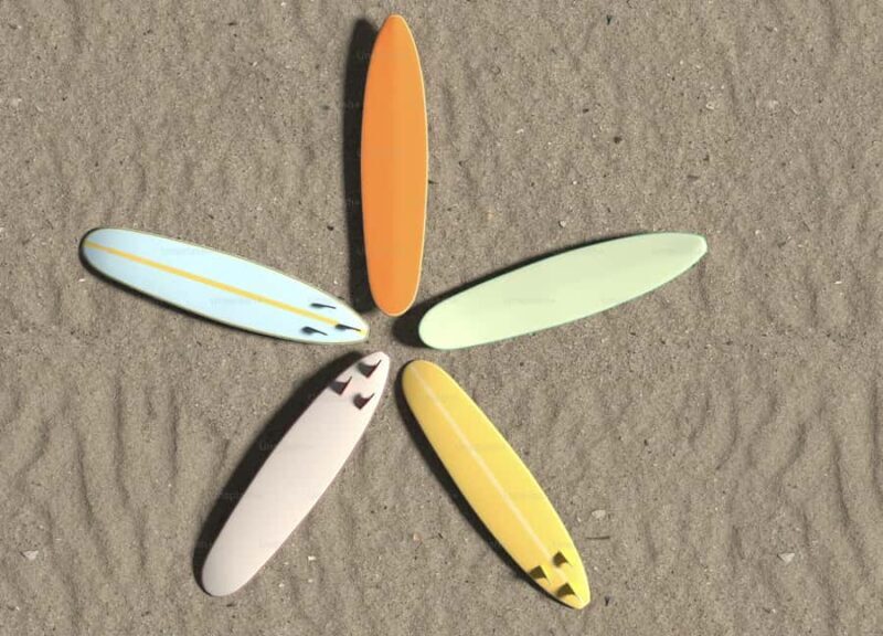 All Abilities Adaptive Surf Lesson Gold Coast - Analyzing the Value