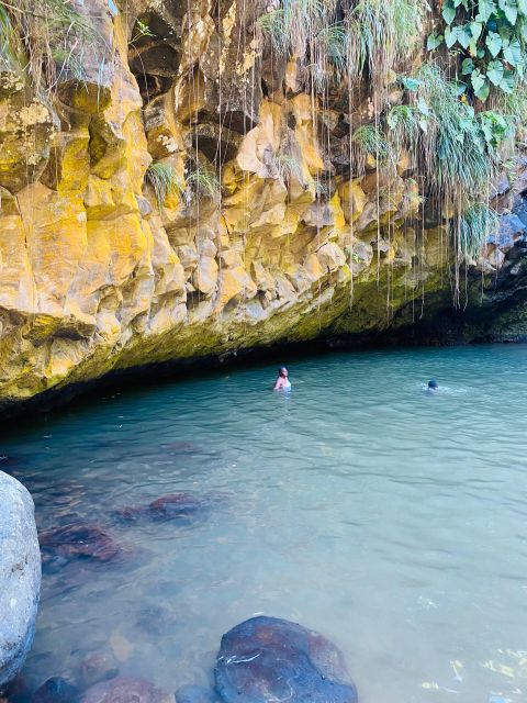 All About Grenada - Exploring the Rainforest Wonders