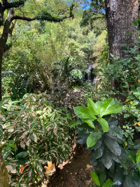 All About Grenada - Fortifying Historical Experiences