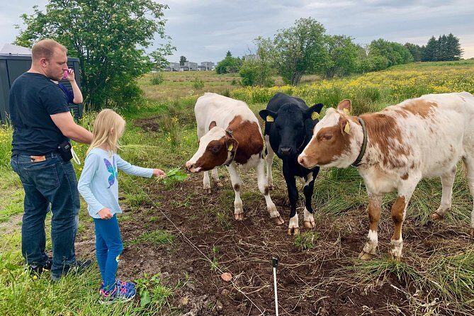 All Alesund Highlights in one tour - Discovering Alesund’s Unique Highlights