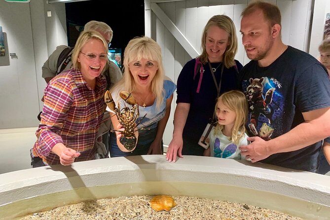 All Alesund Highlights in one tour - Who Will Love This Tour?