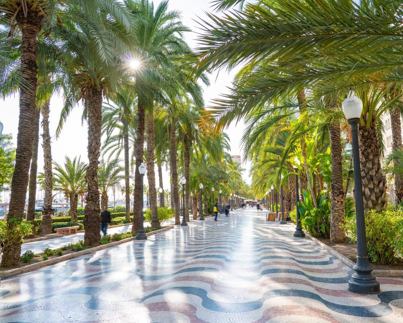 All Alicante with Castle, Market and Tapas. Small group max 8 people - Final Thoughts