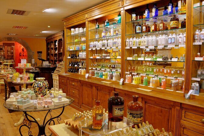 All Azure Coast in One Day Nice, Antibes, Cannes, Napoule, Grasse - The Practical Aspects: Comfort, Value, and Personal Touch