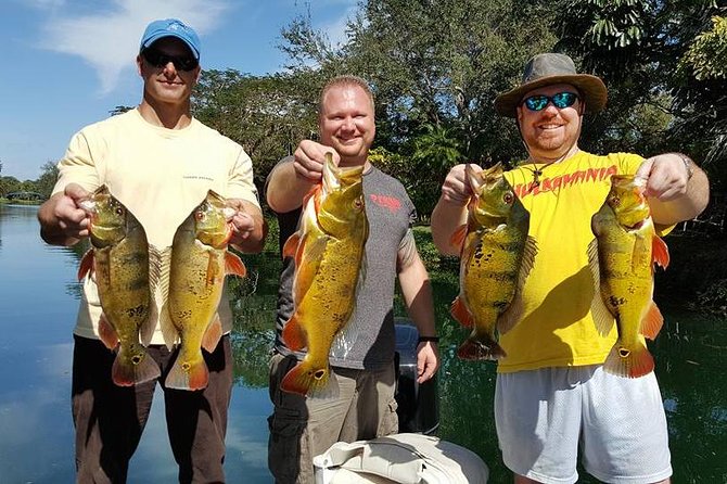 All Day Miami Peacock Bass Fishing Trip - Highlights of the Miami Fishing Excursion