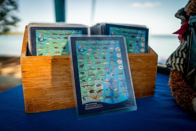 All-Day Paddleboard Rental  Fajardo, Puerto Rico - Who Will Love This?