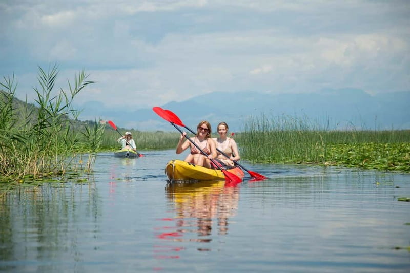 All Day Self-Kayaking to secret spots and wildlife observing - Why This Experience Offers Real Value