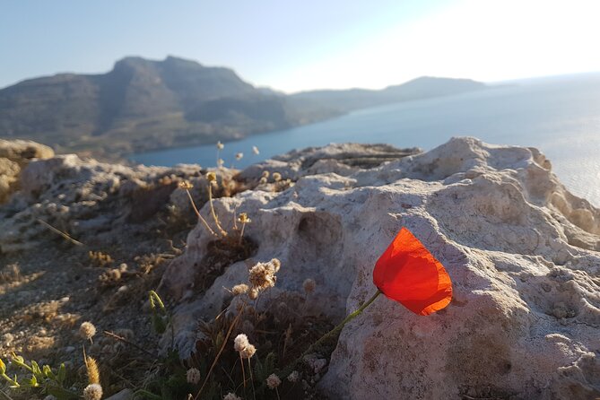 All in One Full Day Rhodes Island Tour for First Time Visitors - Pricing and Cancellation Policy