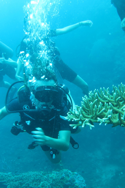 All Include Fun Dive at Menjangan Island - Cancellation Policy