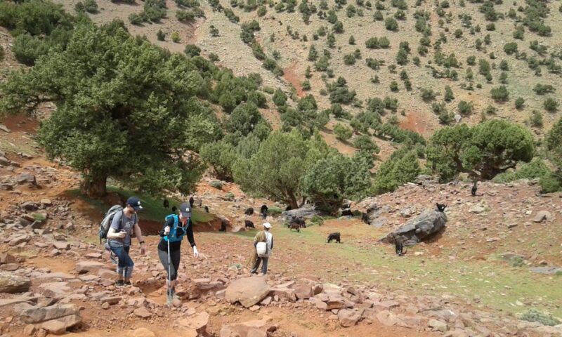 All-Inclusive 2 Days Hiking in the Atlas Mountains - Important Information and Requirements