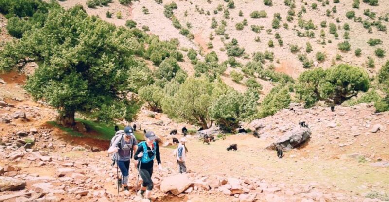 All-Inclusive 2 Days Hiking in the Atlas Mountains - Highlights and Cultural Experience