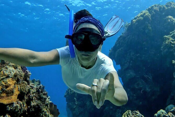 All inclusive 4 Hour Luxury Catamaran Charter in Riviera Maya - The Sum Up