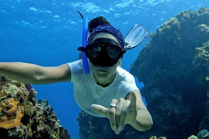 All Inclusive 4 Hour Private 42 ft Catamaran Tour in Riviera Maya - What travelers can expect from the value