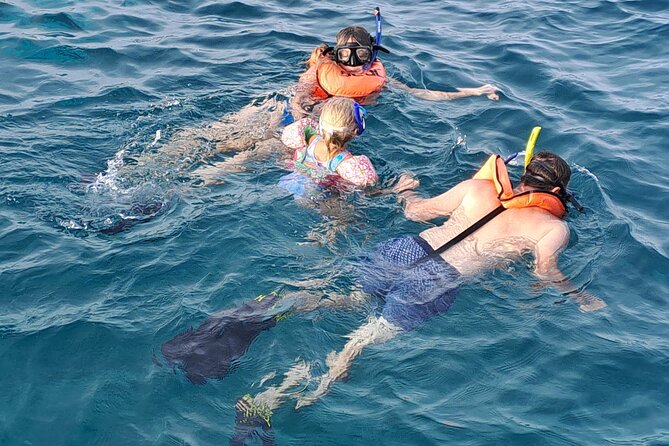 All Inclusive Afternoon Sunset Snorkel Tour - Booking and Reservations