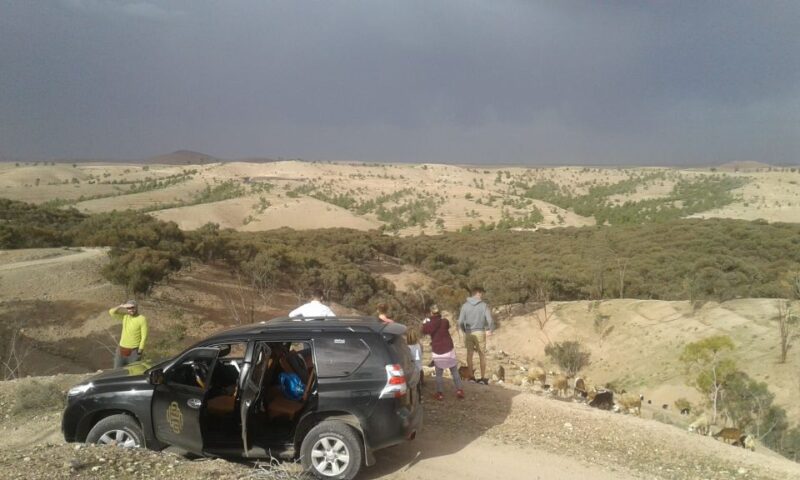 All-Inclusive Atlas Mountain & Agafay Day Trip & Camel Ride - Customer Feedback