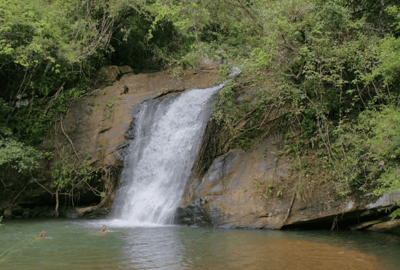 All Inclusive Ayurvedic Spa Day Traditional Massage in Kandy - Reservation Details